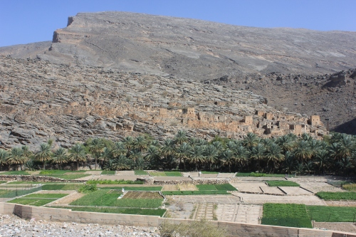 wadi ghul and fields